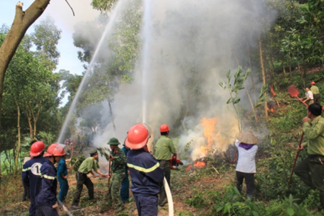 Diễn tập phòng chống cháy rừng ở huyện Yên Bình. (Ảnh minh họa).