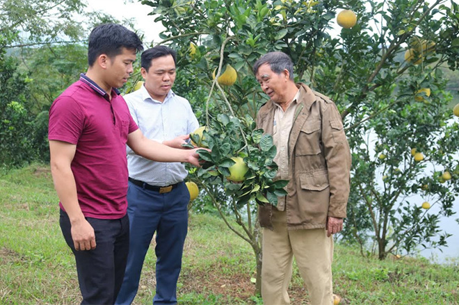 Lãnh đạo xã Thịnh Hưng trao đổi với nhân dân thôn Đào Kiều về phát triển kinh tế từ cây ăn quả.