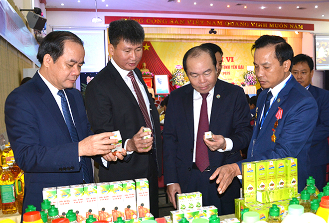 Ông Nguyễn Ngọc Bảo - Chủ tịch Liên minh Hợp tác xã Việt Nam tham quan các sản phẩm của hợp tác xã tại Yên Bái