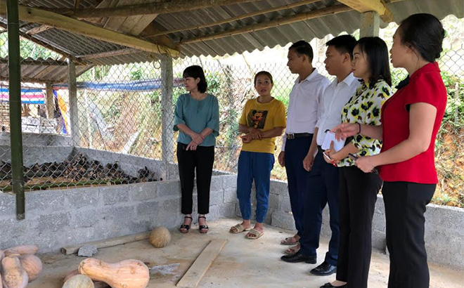 Thường trực HĐND tỉnh giám sát việc thực hiện Nghị quyết 13 của HĐND tỉnh ban hành một số chính sách đặc thù hỗ trợ sản xuất nông nghiệp năm 2020 để ứng phó với dịch COVID-19 tại huyện Lục Yên.