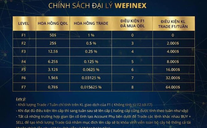 Thông tin về chính sách đại lý của Wefinex trên trang web.