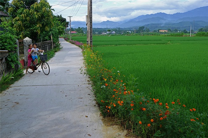 Năm qua, mỗi gia đình ở thôn Ao Luôngxã Sơn An, huyện Văn Chấn nhận phần trồng hoa quanh địa phận ngôi nhà của mình tạo nên cảnh quan tươi đẹp của làng quê.