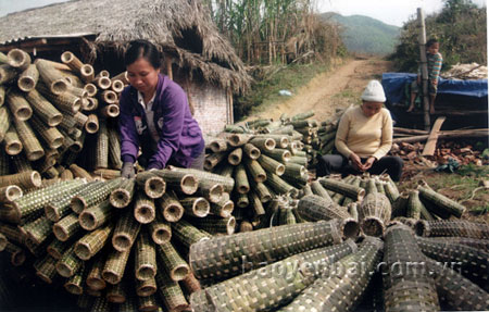 Nghề đan rọ tôm đã mạng lại thu nhập ổn định cho người dân Phan Thanh từ nhiều năm nay.