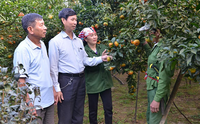 Lãnh đạo xã Thượng Bằng La động viên người dân tích cực đầu tư phát triển vùng cây ăn quả có múi.