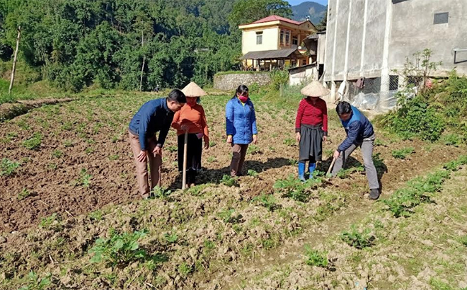 Lãnh đạo xã Hát Lừu hướng dẫn người dân thôn Hát 1 làm mô hình khoai tây vụ đông.