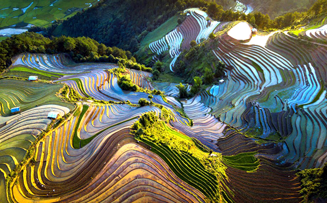 Mu Cang Chai terraced rice fields in the falling water season