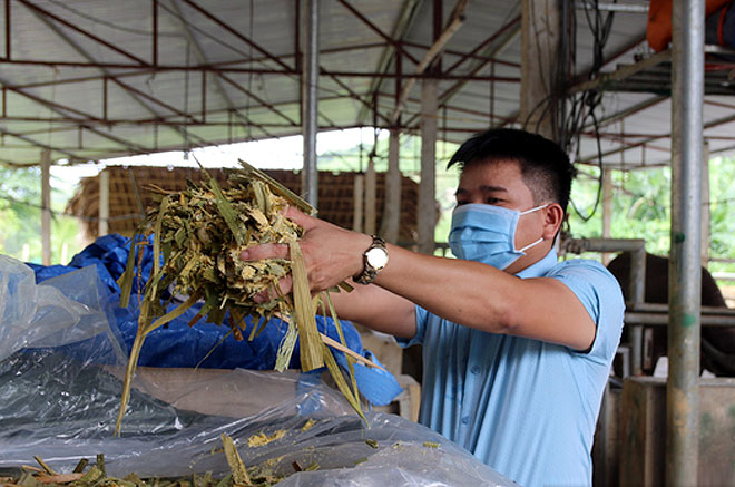 Hoang Van Liem, director of the Thien An services cooperative in Xuan Lai.