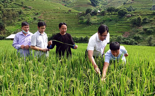 Bí thư Huyện ủy, Chủ tịch HĐND huyện Mù Cang Chải Nông Việt Yên (thứ 2 từ phải sang) giám sát Chương trình mục tiêu quốc gia xây dựng nông thôn mới tại xã Khao Mang.