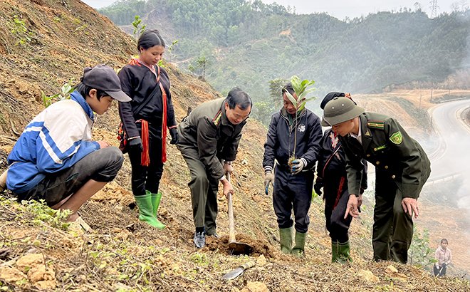 Cán bộ Chi cục Kiểm lâm Yên Bái hướng dẫn nhân dân trồng rừng vụ xuân.