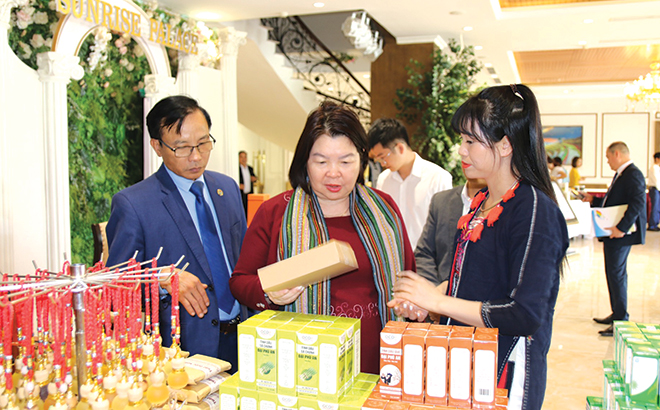 Bà Cao Xuân Thu Vân - Chủ tịch Liên minh Hợp tác xã Việt Nam thăm quan gian hàng trưng bày các sản phẩm OCOP của Yên Bái.