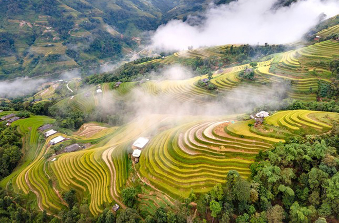 Ruộng bậc thang Hoàng Su Phì ở Hà Giang. Ảnh: Trung tâm Thông tin du lịch.