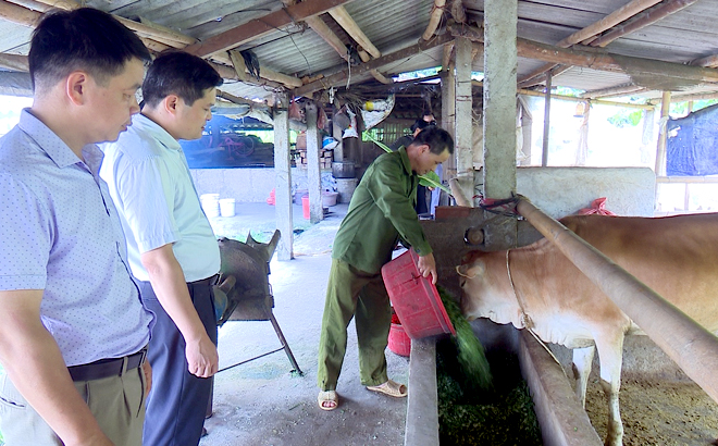 Huyện Lục Yên triển khai chính sách hỗ trợ theo Nghị quyết 69 giúp người dân phát triển chăn nuôi vươn lên thoát giảm nghèo.