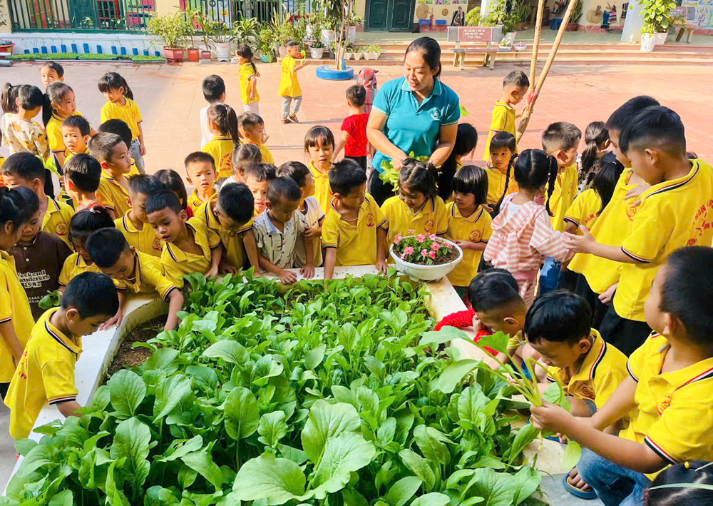 Cô và trò Trường Mầm non Tân Đồng, huyện Trấn Yên tham gia hoạt động trải nghiệm chăm sóc và thu hoạch rau xanh.