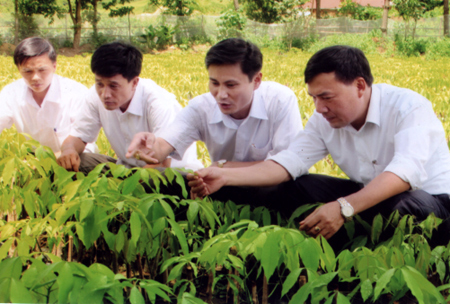 Ông Nguyễn Hồng Thắng - (thứ hai từ phải sang) cùng lãnh đạo các ngành kiểm tra vườn ươm cao su tại huyện Văn Yên.