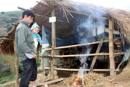 Đốt lửa sưởi ấm cho trâu bò.