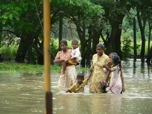 Lũ lụt ở vùng Pollonaruwa, Sri Lanka.