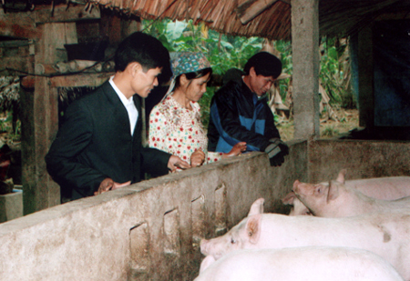 Mô hình nuôi lợn cải tiến của gia đình chị Lý Thị Tươi, thôn Kha Bán, xã Liễu Đô.