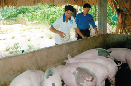 Anh Phạm Quốc Dân - Bí thư Đoàn xã Việt Cường thăm mô hình kinh tế VACR của đoàn viên Trần Xuân Ngọc.
