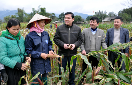 Cần dõi chặt chẽ diễn biến của thời tiết, tranh thủ làm đất, đẩy nhanh tiến độ gieo cấy ngay khi trời nắng ấm.