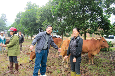 Đồng chí Hoàng Việt Hưng - Phó chủ tịch Thường trực Hội Nông dân tỉnh trao bò cho gia đình hội viên nông dân.
