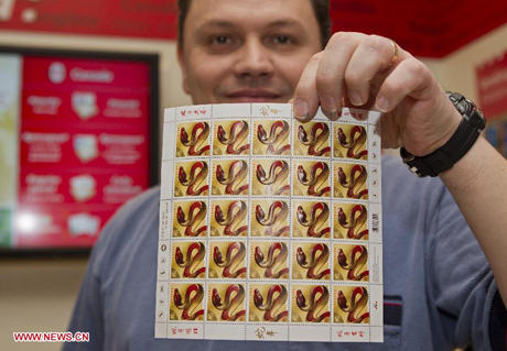 Một nhân viên ở bưu điện thành phố Toronto, Canada “khoe” mẫu tem thiết kế nhân dịp năm rắn của nước này.