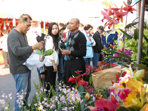 Chợ hoa xuân Tết Quý Tỵ khai trương hôm 26/1 vừa qua trước thương xá Phước Lộc Thọ, khu Little Saigon, trung tâm sinh sống của cộng đồng người Việt ở Mỹ.