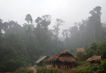 Mặc dù người dân sinh sống ngay dưới chân rừng nhưng những cánh rừng nguyên sinh ở Nà Hẩu vẫn giữ được vẻ nguyên sơ.