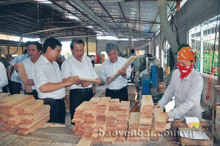 Phó Thủ tướng chính phủ Vũ Văn Ninh - thăm cơ sở sản xuất, chế biến gỗ rừng trồng Đăng Khoa huyện Trấn Yên.
