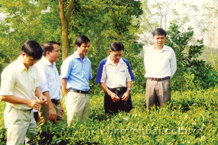 Đồng chí Dương Văn Tiến - Bí thư Huyện ủy (thứ ba, trái sang) kiểm tra diện tích trồng và cải tạo chè giống mới tại xã Bảo Ái.