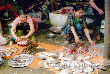 Cần đảm bảo vệ sinh an toàn thực phẩm trong khâu sơ chế thực phẩm tươi sống.