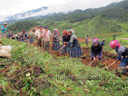 Đồng bào Mông xã Púng Luông thi đua khai hoang ruộng bậc thang trên địa bàn.