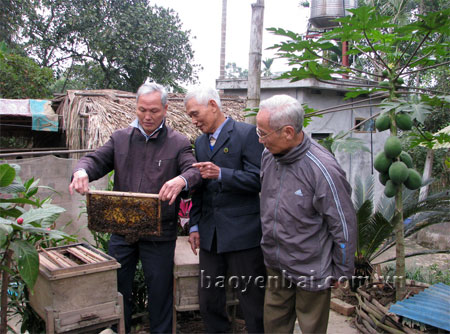 Ông Nguyễn Văn Đích (giữa) trao đổi kinh nghiệm nuôi ong với các hội viên người cao tuổi.
