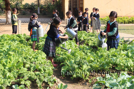 Học sinh Trường PTDTBT Tiểu học và THCS Hồ Bốn (Mù Cang Chải) chăm sóc vườn rau tăng gia.
(Ảnh: Minh Huyền)