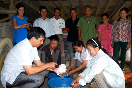 Nhân dân thôn 3 xã Tích Cốc tham gia lớp tập huấn trồng nấm rơm.
