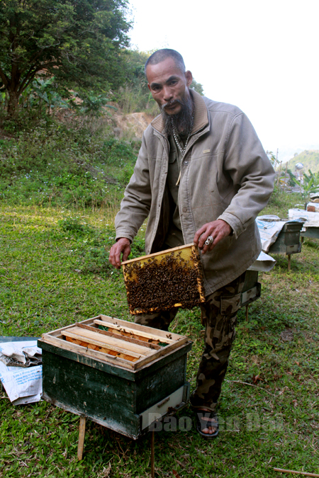 Anh Trần Ích Thiêm kiểm tra đàn ong nuôi tại vườn.
