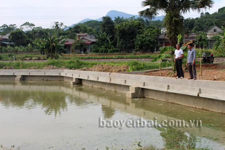 Ngoài phát triển đồi rừng, hội viên - Chử Văn Thuận, khu phố 4, thị trấn Mậu A (áo trắng) còn có gần 2 ha nuôi cá, mỗi năm cho thu nhập hàng trăm triệu đồng.