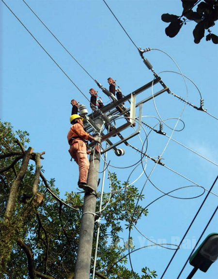 Công nhân Công ty cổ phần Hồng Nam thay dây dẫn điện trên tuyến đường Yên Ninh, thành phố Yên Bái.