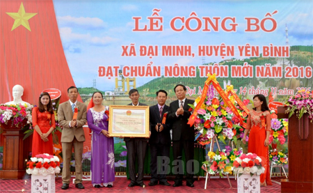 Năm 2016, xã Đại Minh là một trong 2 xã đầu tiên của huyện Yên Bình vinh dự đón nhận Bằng công nhận đạt chuẩn nông thôn mới.