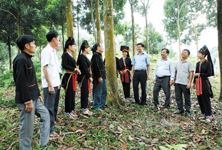 Các đồng chí lãnh đạo huyện Văn Yên thăm vùng bảo tồn giống quế địa phương. (Ảnh: Thanh Miền)