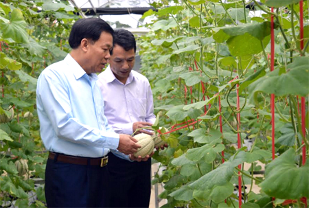 Đồng chí Nguyễn Văn Khánh - Phó Chủ tịch UBND tỉnh kiểm tra mô hình thực nghiệm trồng dưa công nghệ cao tại xã Âu Lâu, thành phố Yên Bái.