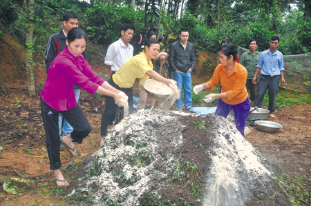 Nông dân xã Tân Hương, huyện Yên Bình thực hành ủ phân bón bằng chế phẩm sinh học.

