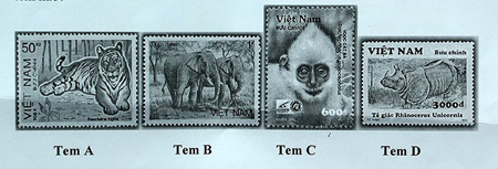 Một số mẫu tem giới thiệu các loài động vật hoang dã, quý, hiếm cần được bảo vệ có trong phần câu hỏi của cuộc thi (Ảnh: BTC cung cấp)
