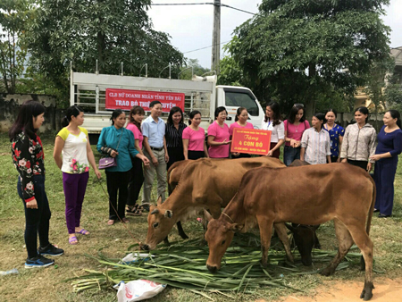 CLB Nữ doanh nhân thành phố Yên Bái cùng lãnh đạo CLB Nữ doanh nhân tỉnh trao bò cho phụ nữ nghèo tại xã Ngọc Chấn, huyện Yên Bình.
