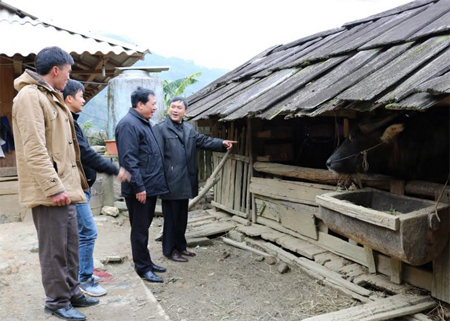 Lãnh đạo Sở Nông nghiệp và PTNT cùng lãnh đạo huyện Mù Cang Chải nắm tình hình phòng chống rét cho gia súc trên địa bàn. Ảnh Tuấn Anh (TTXVN)