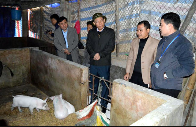 Đồng chí Nguyễn Văn Khánh – Phó Chủ tịch UBND tỉnh kiểm tra tình hình dịch lở mồm long móng tại xã Đông Cuông
