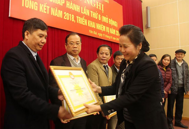 Thừa ủy quyền, đồng chí Ngô Thị Chinh - Chủ tịch Hội Khuyến học tỉnh, trao bằng khen của Ban Chấp hành Trung ương Hội Khuyến học Việt Nam cho các tập thể.