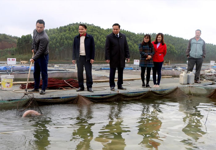 Bí thư Huyện ủy Đoàn Hữu Phung (đứng giữa) thăm mô hình cá lồng của Hợp tác xã Thủy sản Hoàng Kim, xã Hán Đà.