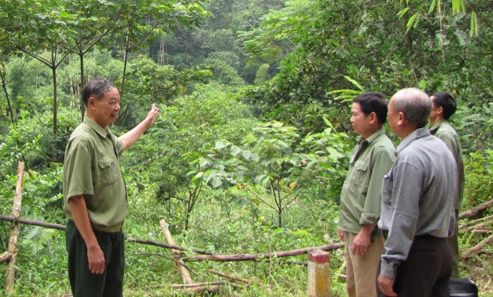 Hội Cựu chiến binh huyện Yên Bình tổ chức tham quan các mô hình phát triển kinh tế đồi rừng.