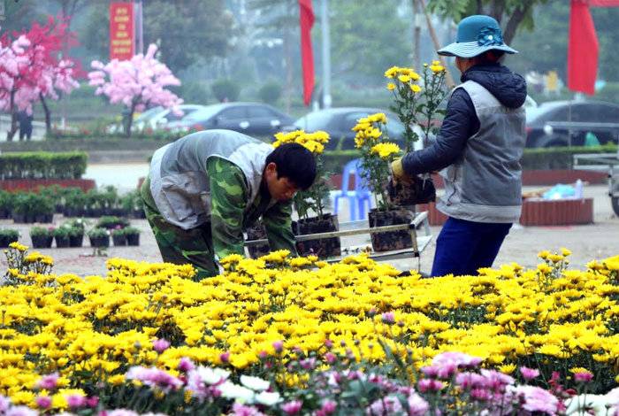 Công nhân Công ty kiến trúc đô thị mới tất bật với việc trồng và trang trí hoa tươi cho đường hoa phục vụ tết Nguyên đán Kỷ Hợi 2019. (Ảnh: Thanh Chi)