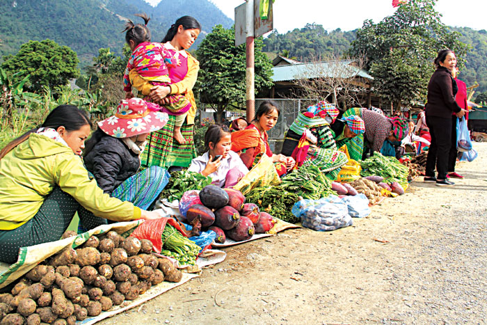 Ngày càng nhiều mặt hàng nông sản được người dân bày bán ở  chợ “5 nghìn”.